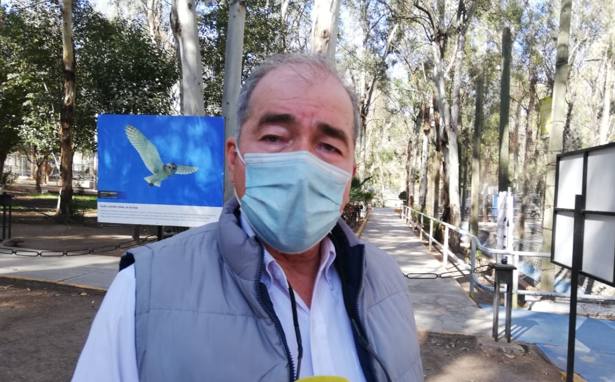 Confirman que muerte de aves en Durango fue por un parásito que las infectó