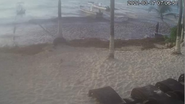 Con fotos, hoteleros y turistas documentan que sí hay sargazo en playas de Quintana Roo