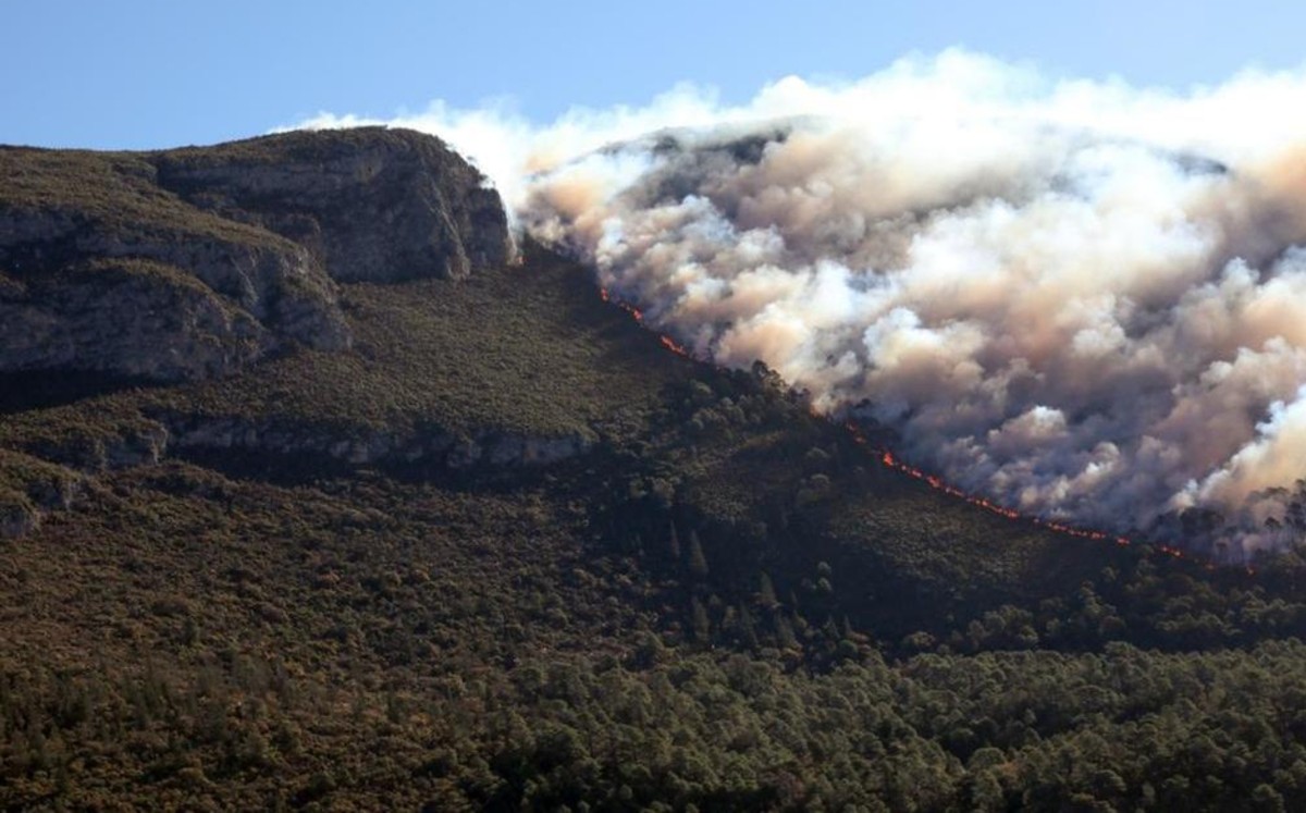 Suspenden combate de incendio en Arteaga por condiciones climatológicas