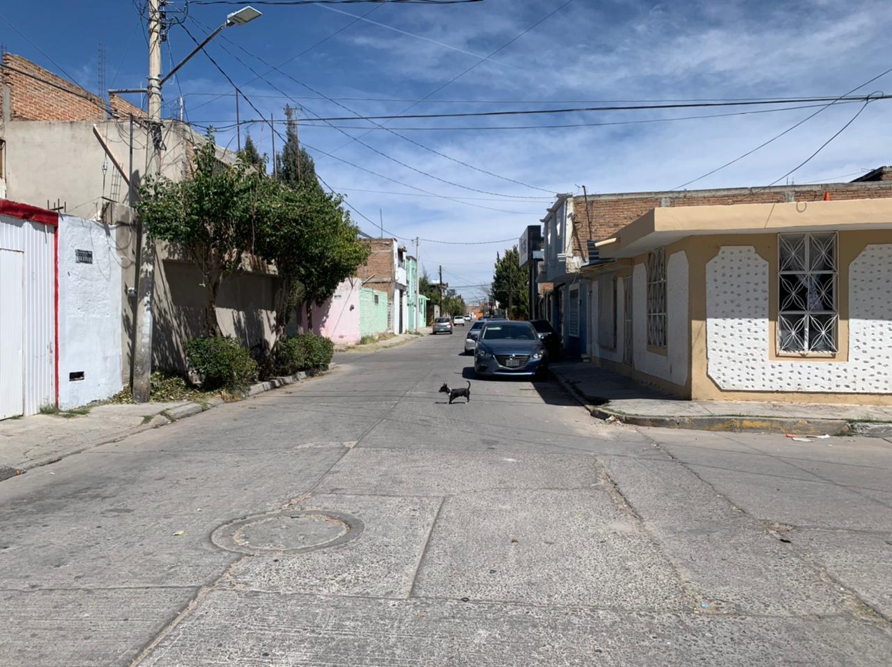 Aprovechan calle sin señalética para infringir límites de velocidad en la colonia Universal