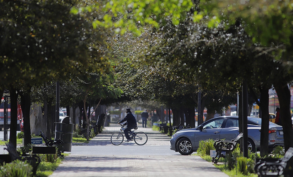 Subcomité de Salud en La Laguna aprueba realización de Paseo Colón: Sergio Lara Galván