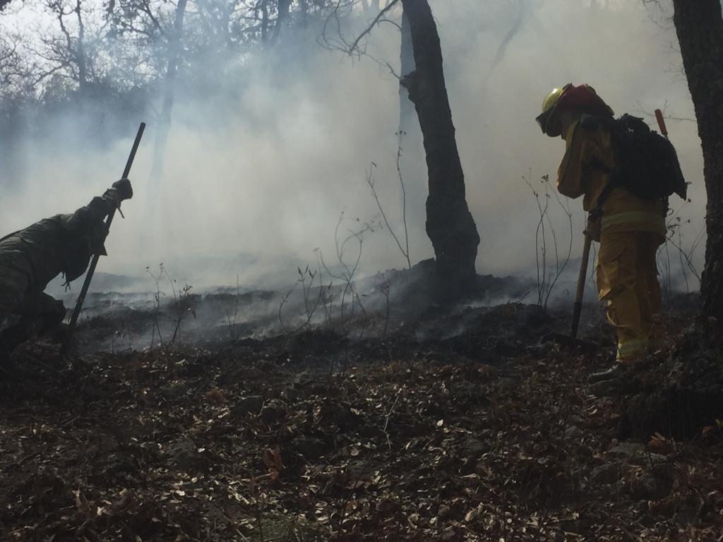 Extinguen incendio en el Cerro de Puruagua, en Jerécuaro