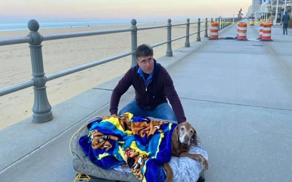 Pareja creó cama móvil para que su perrita pudiera pasear antes de morir
