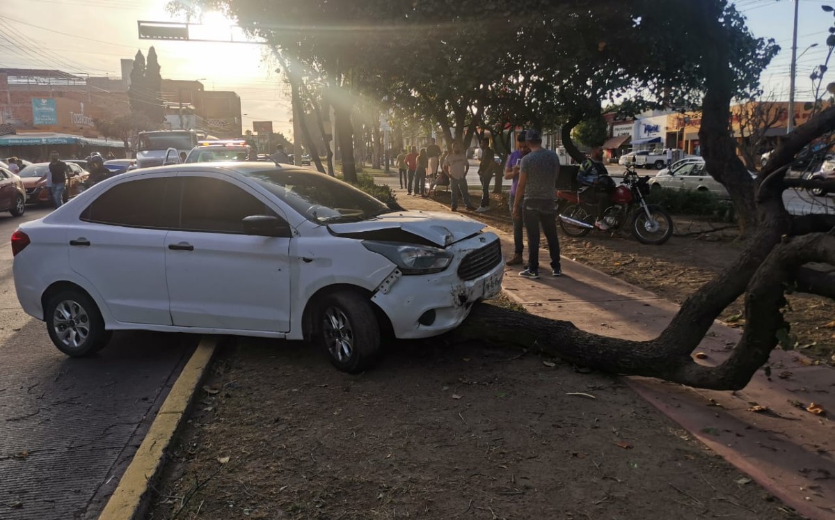 Conductor se impacta contra un árbol por manejar a exceso de velocidad ...