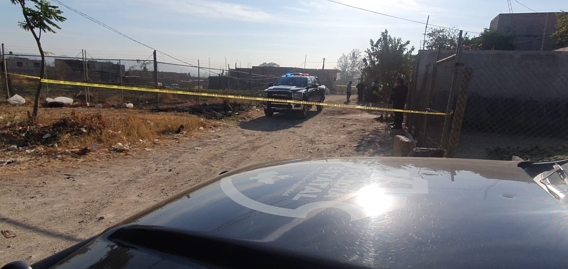 A balazos, asesinan a perro en Tlaquepaque