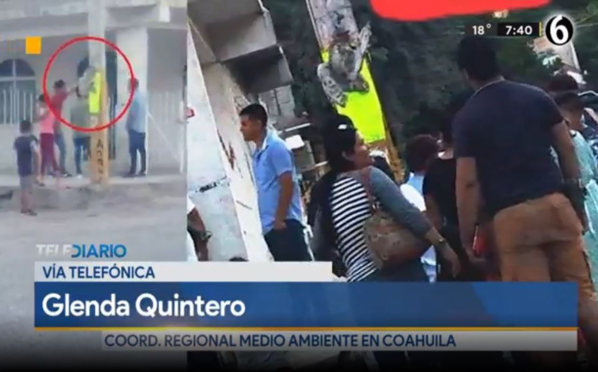 Responsable de muerte de búho en Torreón podría recibir multa de hasta 4.5 mdp