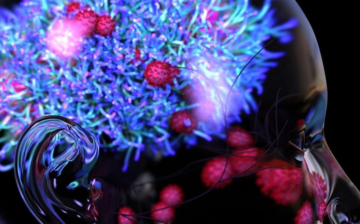 Coronavirus no infecta el cerebro, pero sí lo daña severamente: estudio
