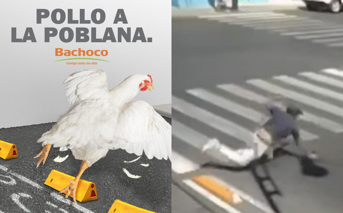Bachoco revive video viral de caídas en ciclovía en Puebla para su publicidad