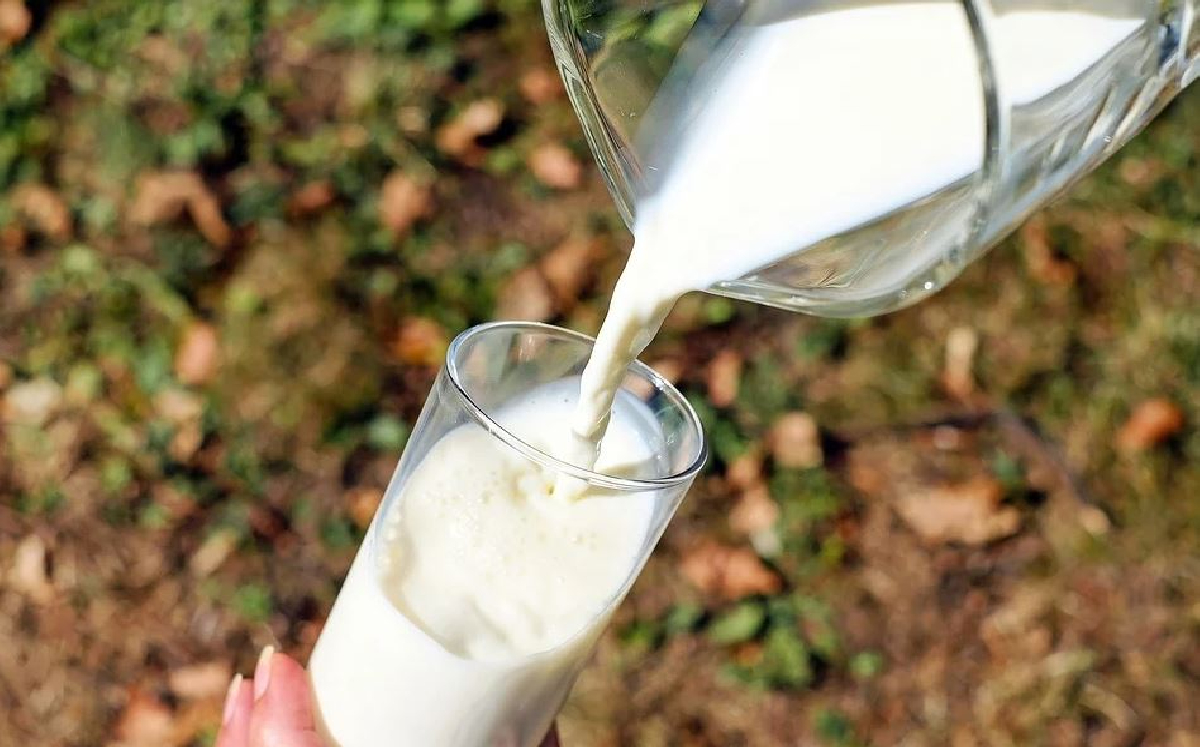 Precio de la leche alcanza máximo histórico; se vende hasta en $24 por litro