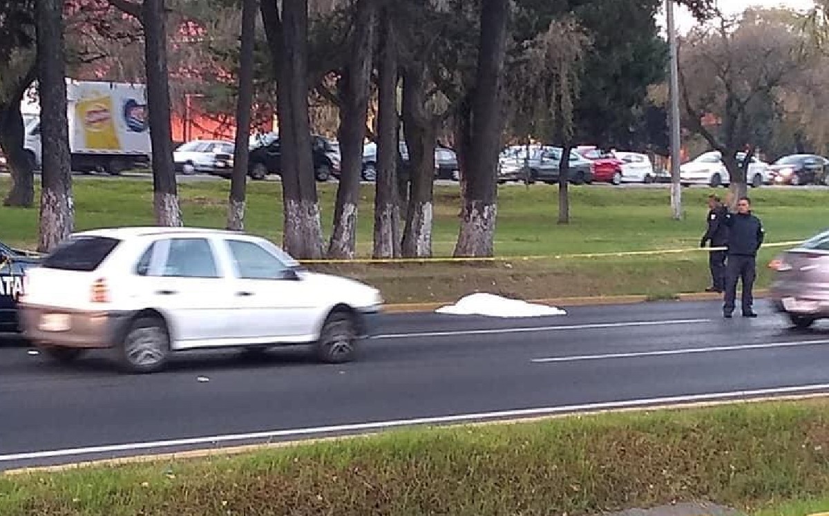 Conductor mata a “abuelita comerciante” y se da a la fuga