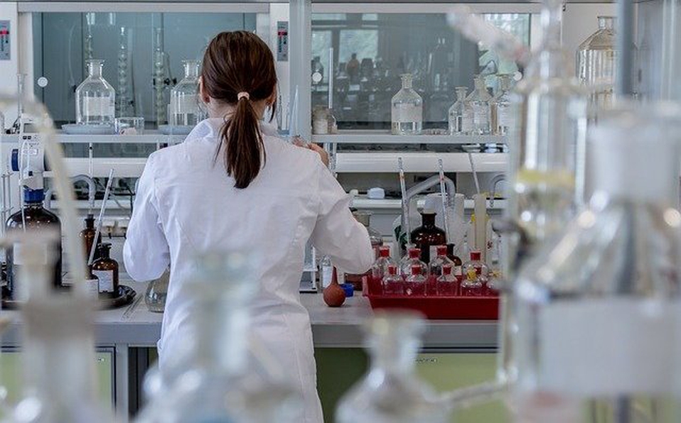Desarrollan fármaco que revierte síntomas del Alzheimer en ratones