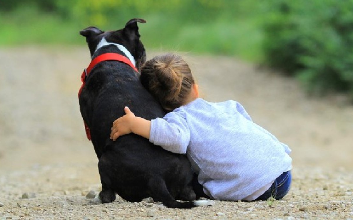 Los niños que conviven con perros tienen una ventaja sobre el resto; estas son las razones