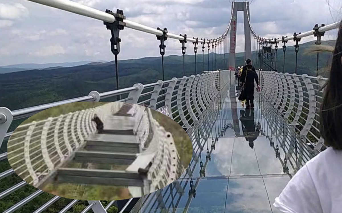 Turista queda varado tras colapso de puente de vidrio por fuertes viento en China