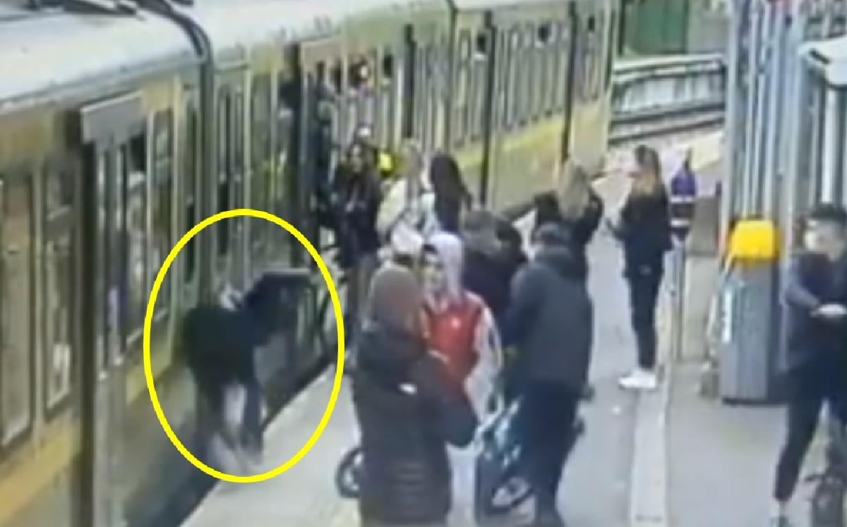 Jovencita cae a las vías del tren tras ser empujada por un hombre