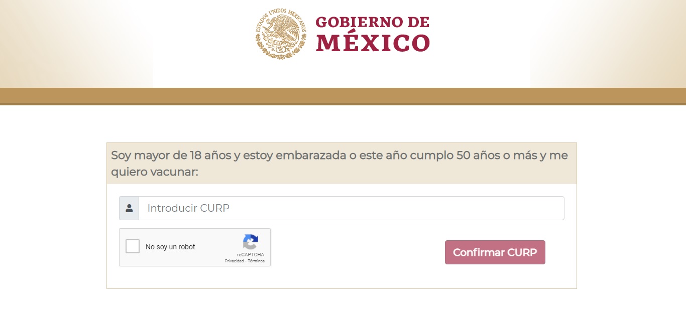 Registro de vacunación contra Covid-19 para embarazadas causa confusión en redes