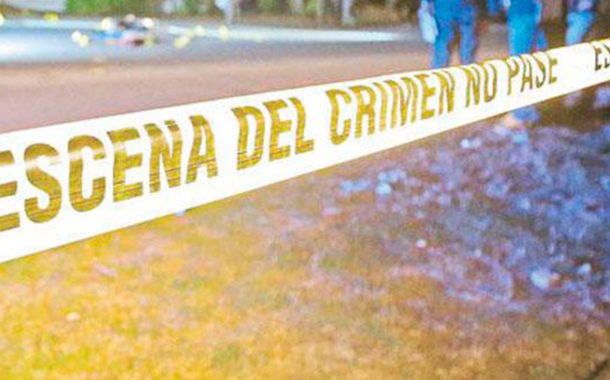Crimen va contra opositores locales