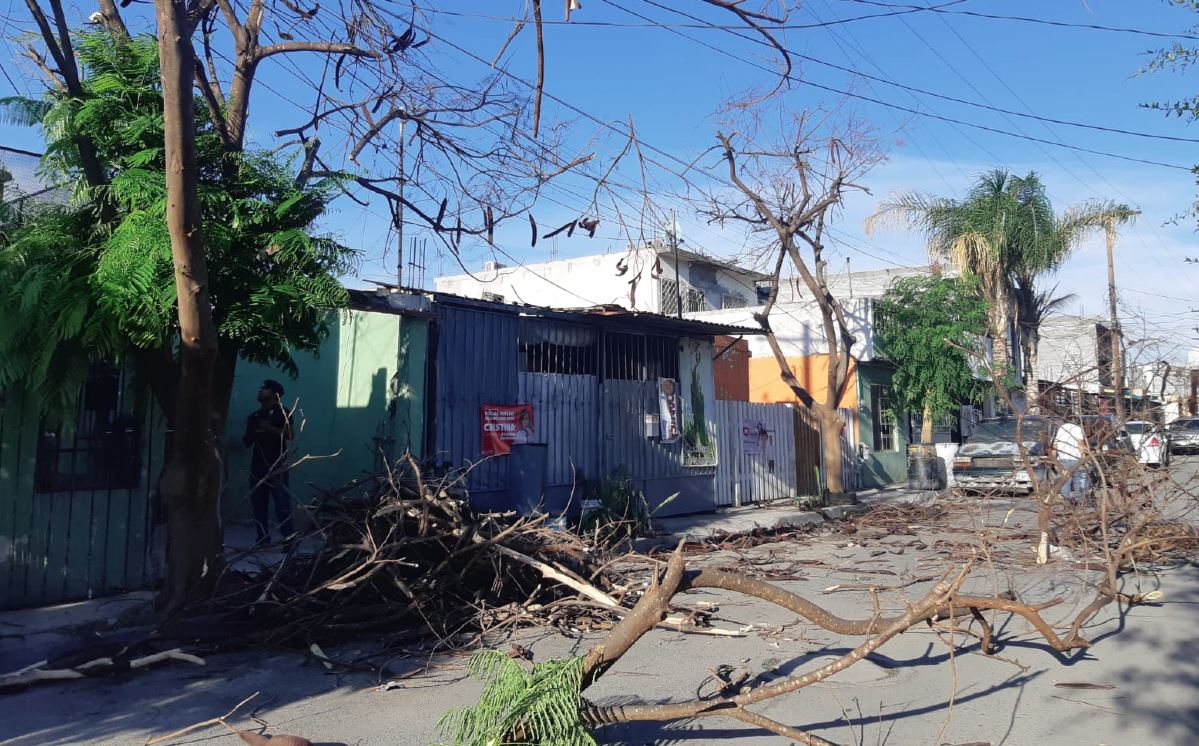 Vecinos de la colonia San Miguel se quedan sin energía eléctrica tras fuertes vientos