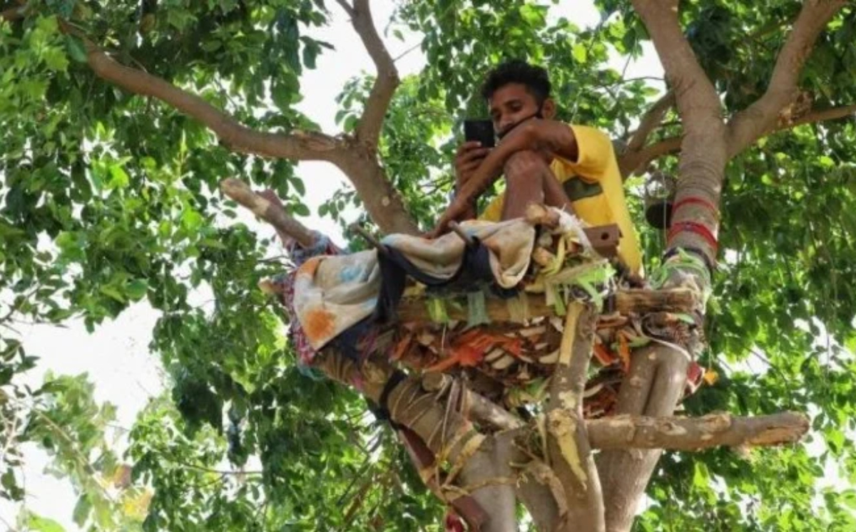 Joven vive arriba de árbol para no contagiar a su familia de covid-19