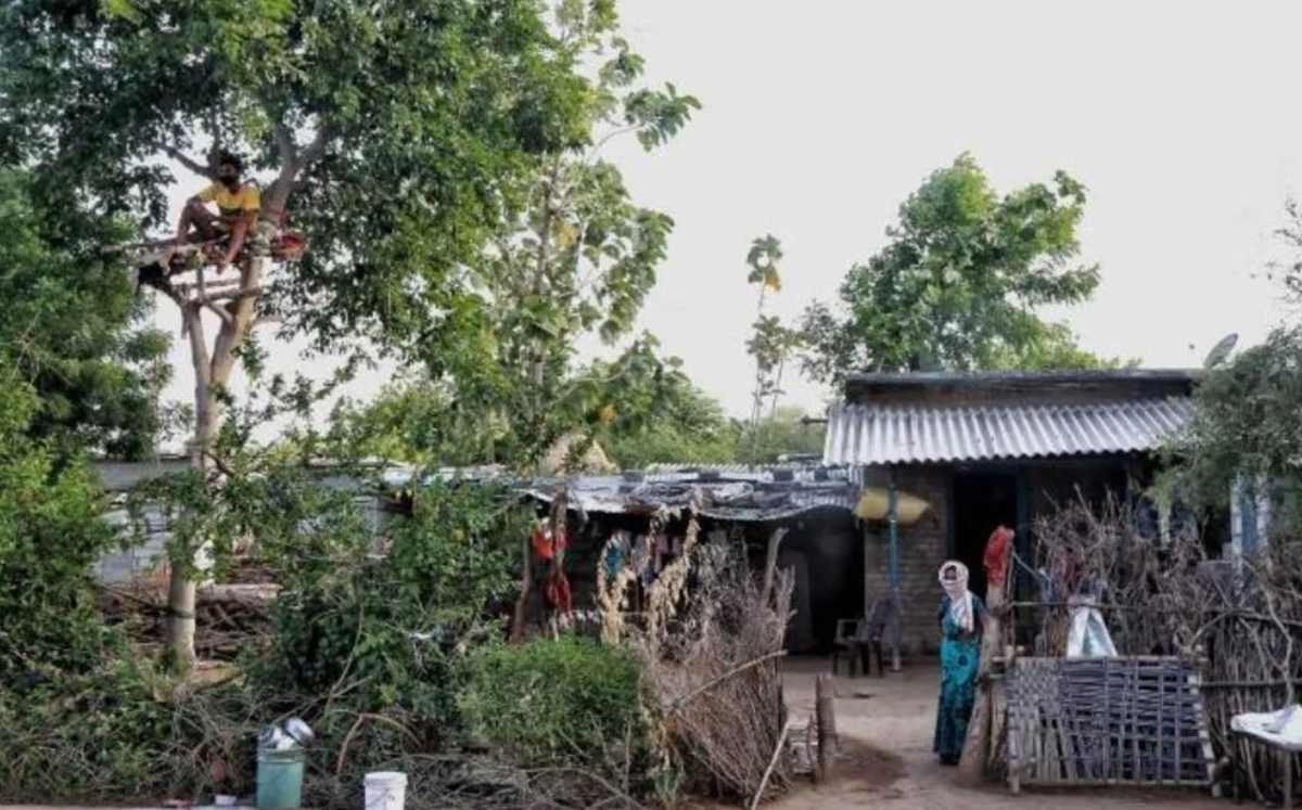 Joven vive arriba de árbol para no contagiar a su familia de covid-19