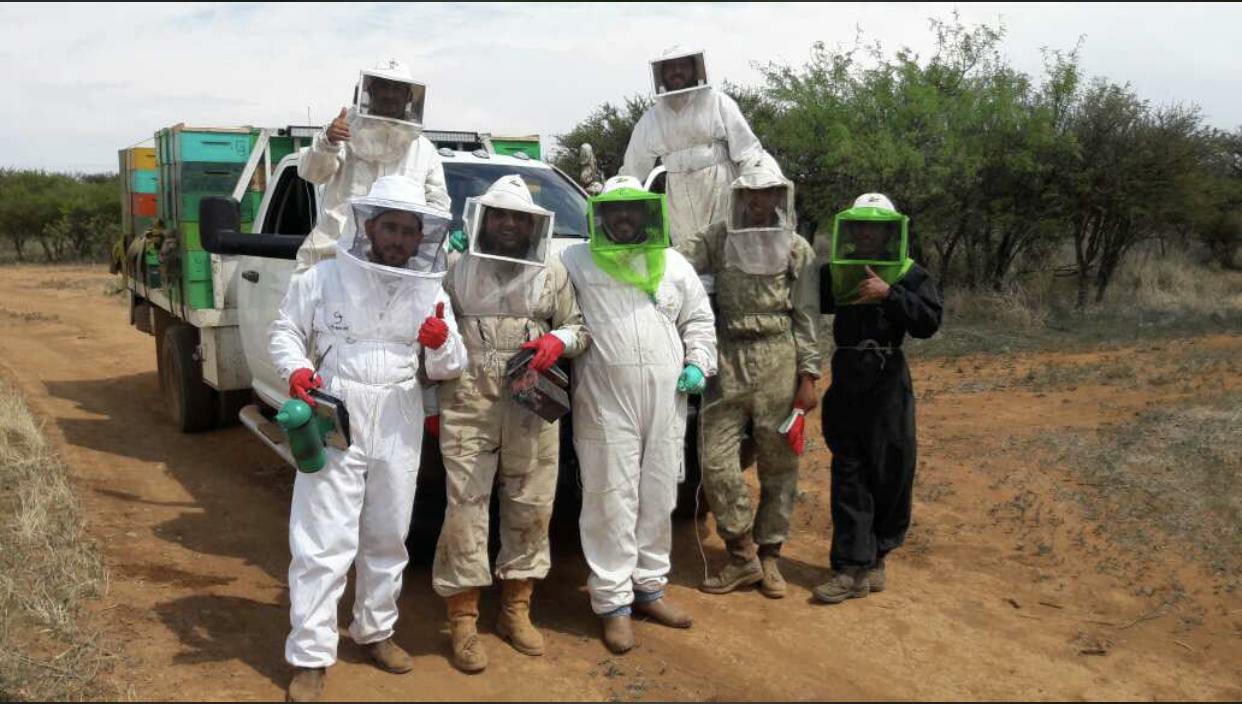 Apicultores de Jalisco buscan mantener producción pese a dificultades