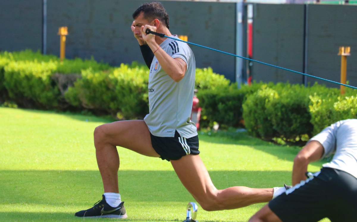 Tigres toma vida poco a poco