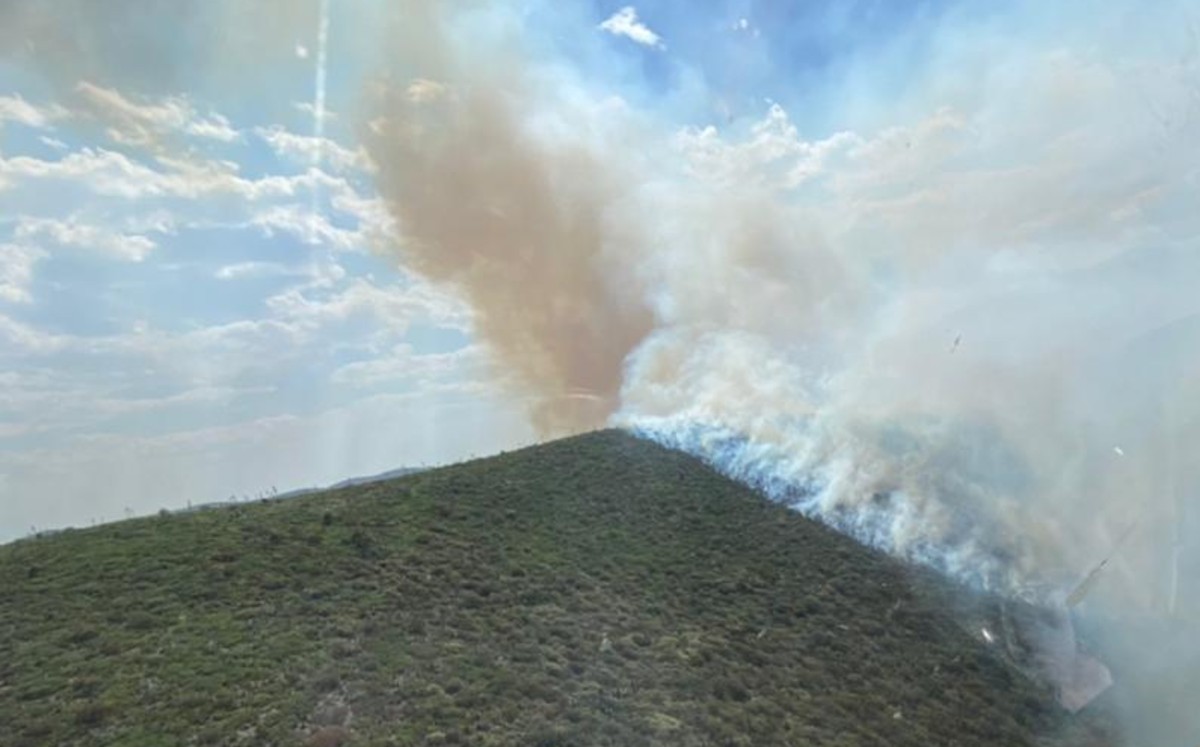 Continúan combatiendo incendio forestal en Galeana