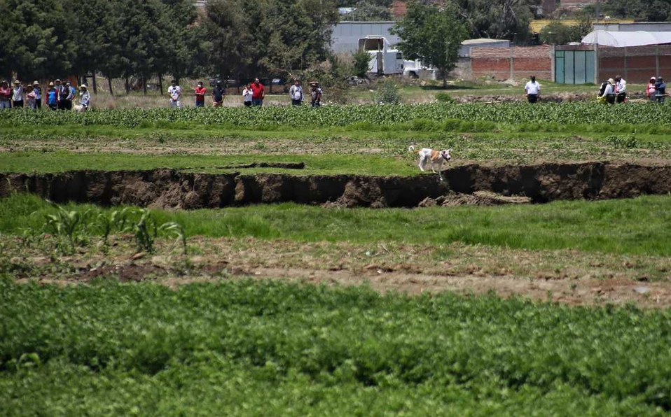 Planean rescate de perritos atrapados dentro de socavón en Puebla 