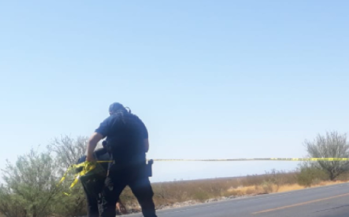 En la Torreón Saltillo, atropellan y despedazan a supuesto indigente