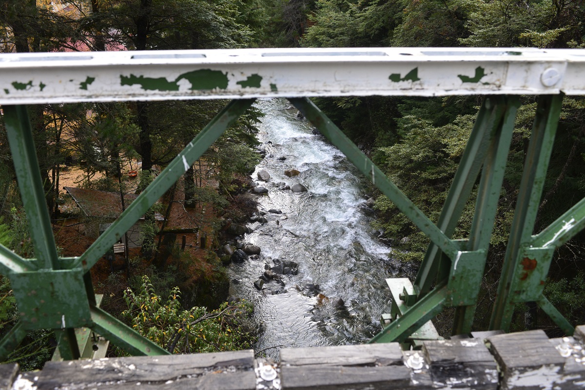 Muere joven tras caer desde un puente al intentar tomarse una selfie