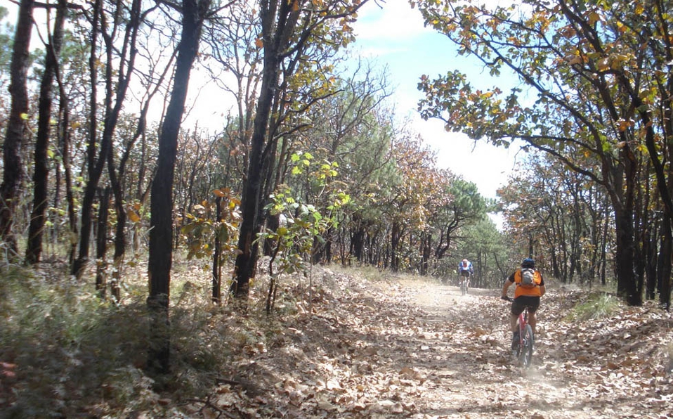 Detienen subasta por predios de La Primavera