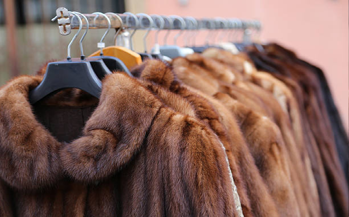 ¡Histórico! Israel se convierte en el primer país en prohibir comercio de pieles de animales para la moda