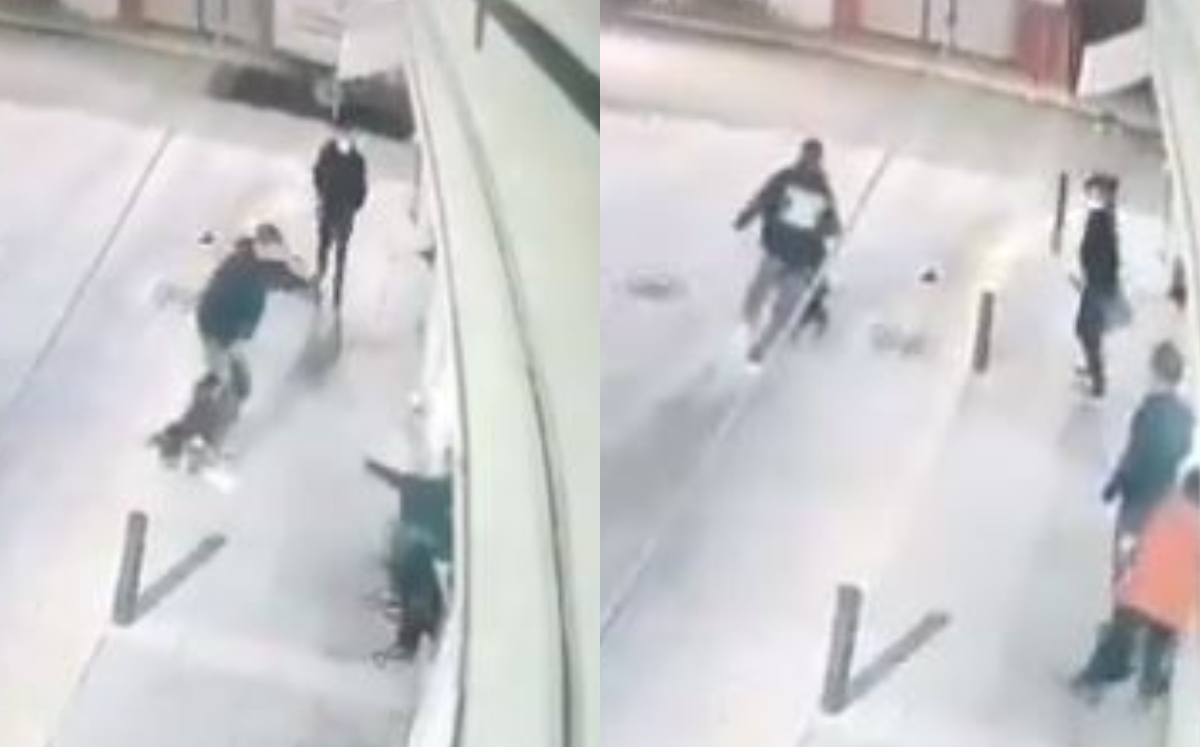 Sujetos armados roban perrito a un niño mientras lo paseaba