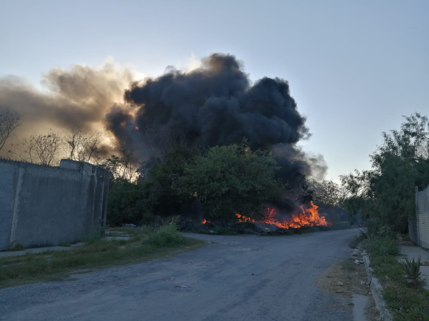 Se registra incendio en un lote baldío en Escobedo
