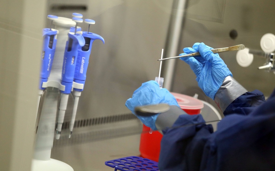 Rompe el silencio viróloga que descubrió el coronavirus