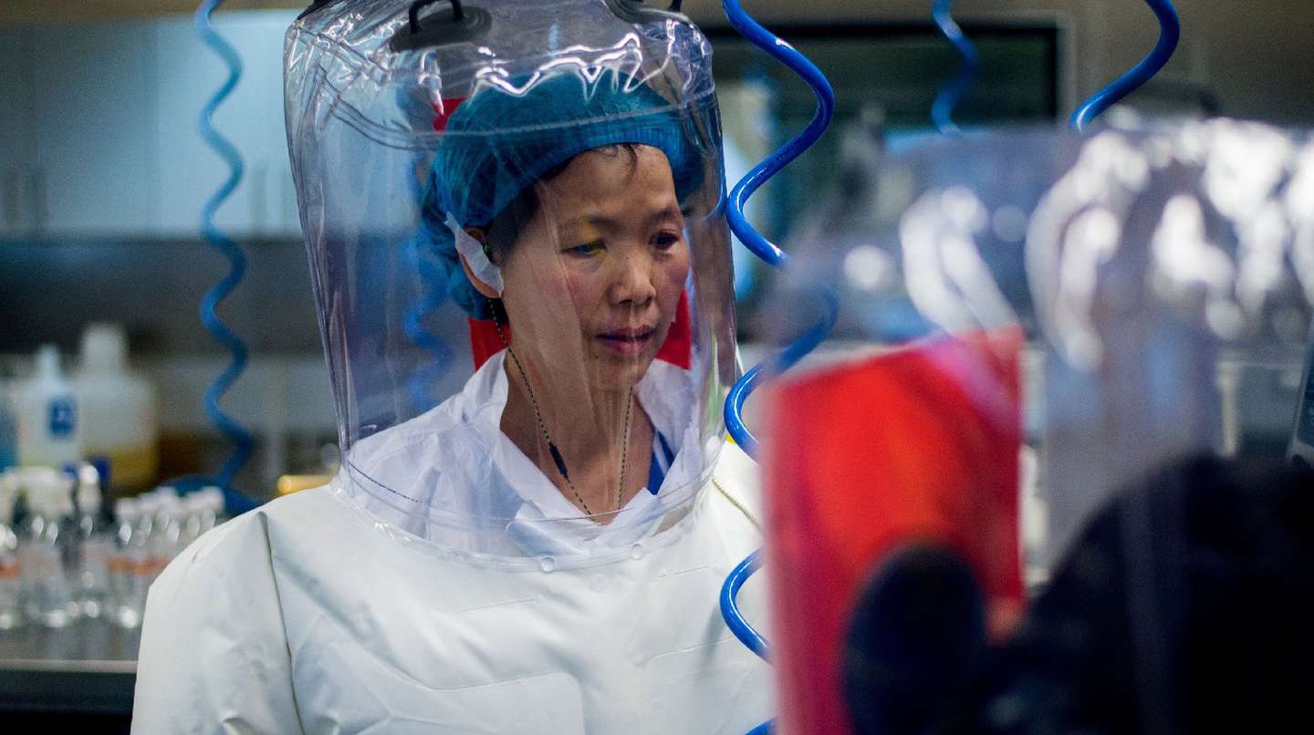 “No tengo nada que temer”: Shi Zhengli, la científica clave para saber si el COVID salió de laboratorio en China

 

 