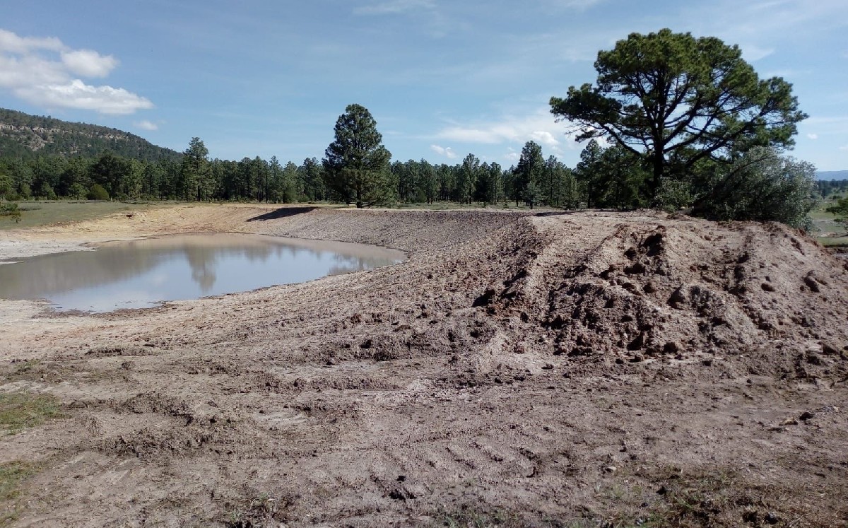 Bordos abrevaderos y lluvia dan un respiro a los productores agropecuarios