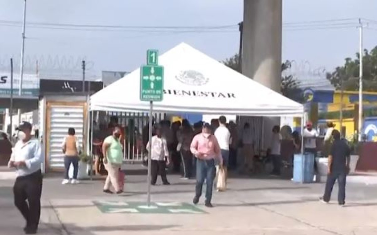 Trámites generan confusión a adultos mayores en la Secretaría del Bienestar