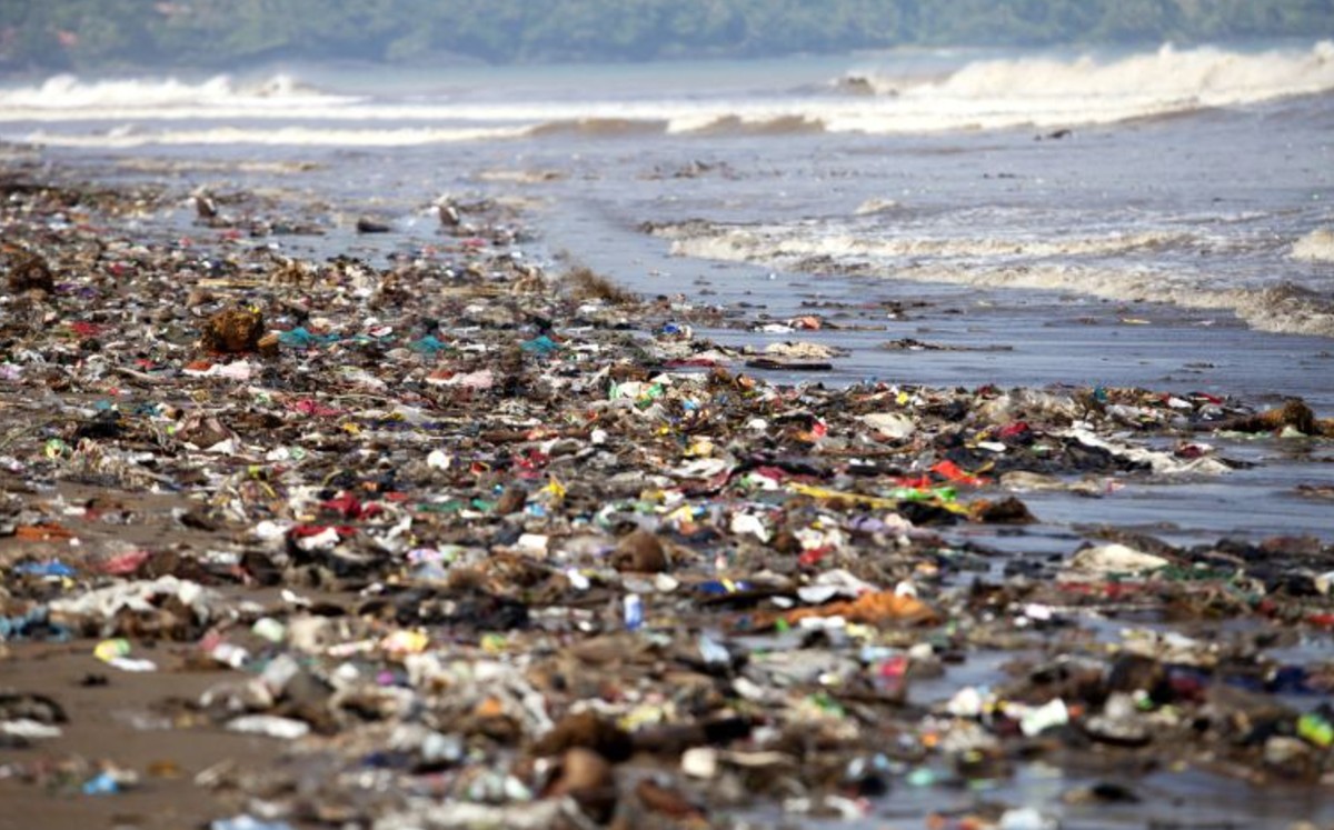 El 90% de la fauna marina tiene plástico en su estómago: Greenpeace