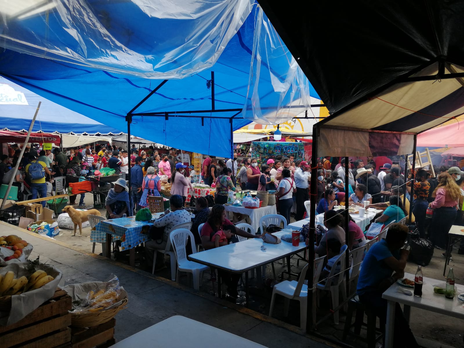 Tlacotepec de Benito Juárez celebra la "Feria del pájaro"