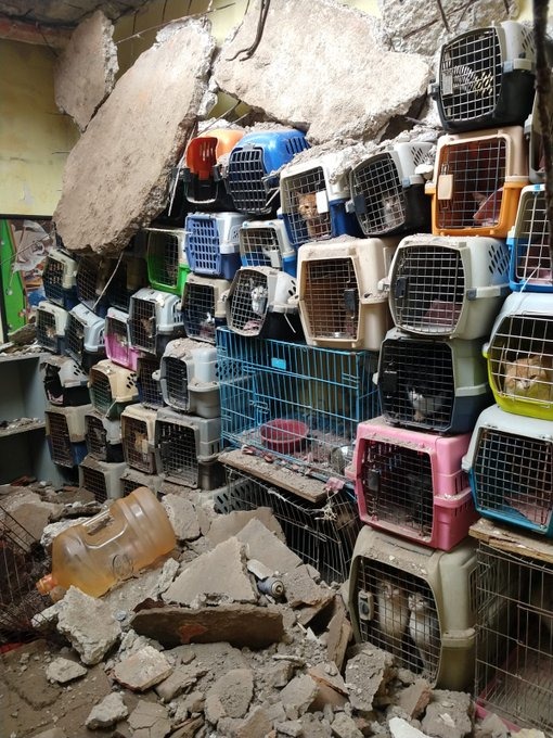 Colapsa techo de vivienda en Alcaldia Cuauhtémoc