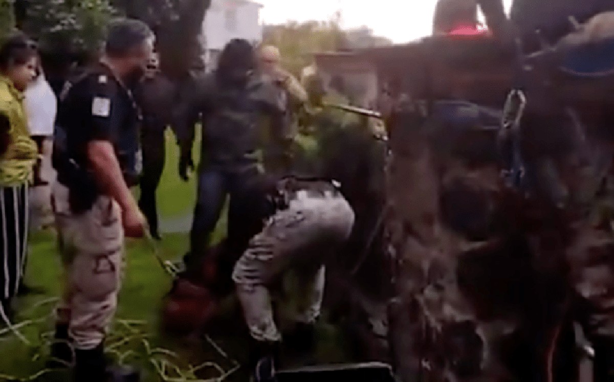 Perrito cae por un barranco; autoridades se movilizan para lograr salvarlo