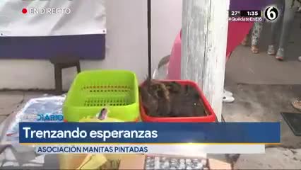 Telediario noticia 