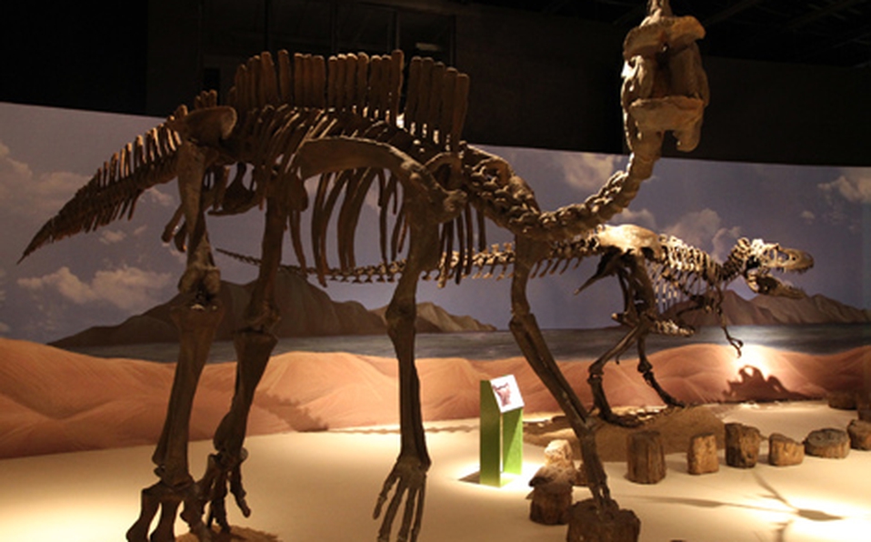 ¡Conoce Guadalajara! Estos son los museos más representativos de la ciudad