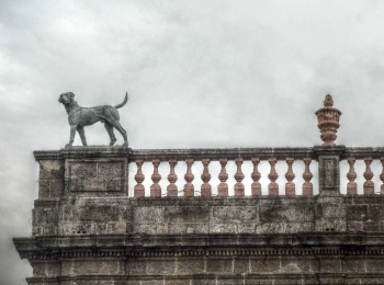 ¡Conoce Guadalajara! Estos son los museos más representativos de la ciudad
