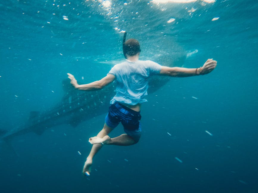 Tiburón mata a hombre que había entrado al agua a orinar