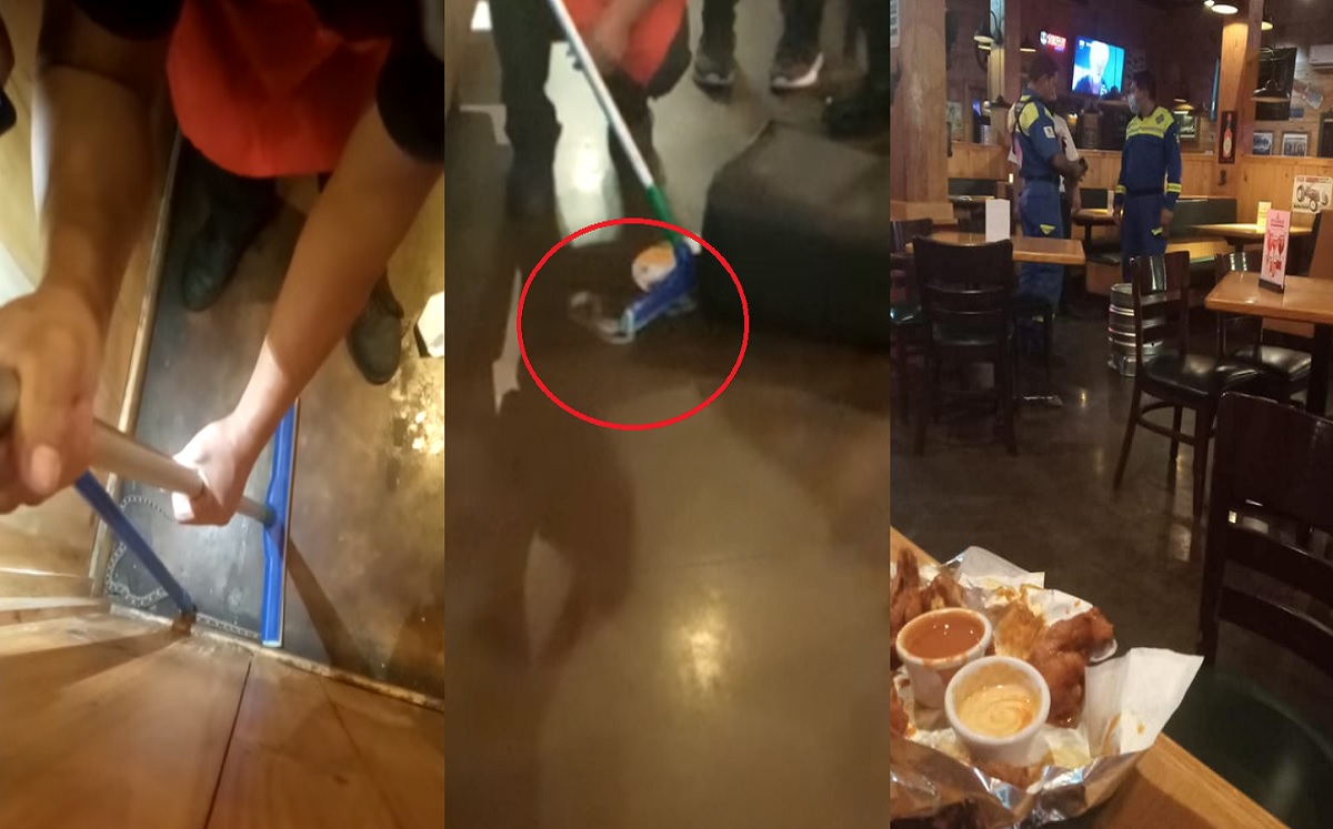 Cae víbora en la mesa donde comía familia en un restaurante de San Nicolás