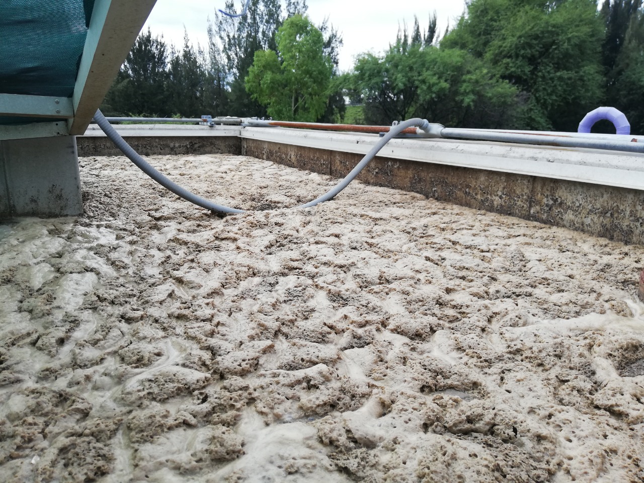 Telediario Media Tiene León 100 kilometros de “Tuberias Moradas” que transportan aguas tratadas para hogares Telediario Media Tiene León 100 kilometros de “Tuberias Moradas” que transportan aguas tratadas para hogares