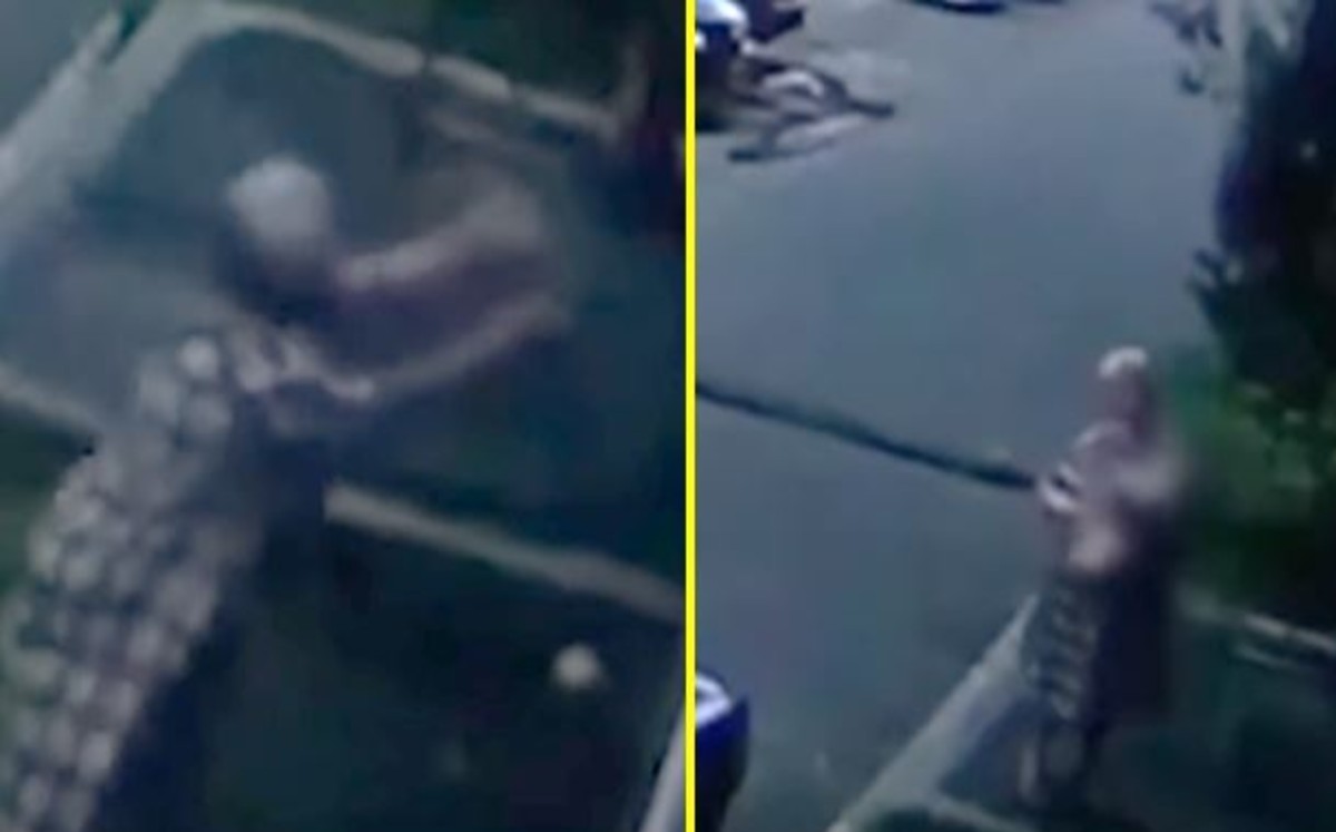 Abuelita “cacha” a un bebé tras caer desde lo alto de un edificio (VIDEO)