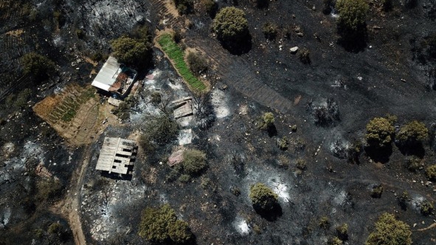 "Mi vaca murió quemada": sobrevivientes relatan tragedia tras incendio en Turquía
