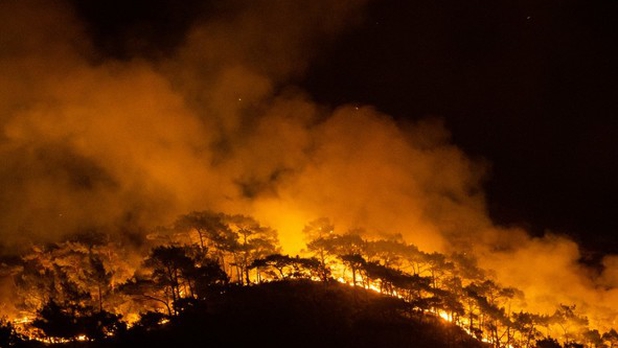 "Mi vaca murió quemada": sobrevivientes relatan tragedia tras incendio en Turquía
